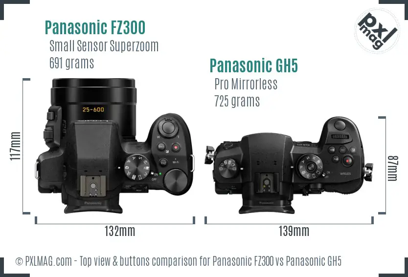 Panasonic FZ300 vs Panasonic GH5 top view buttons comparison