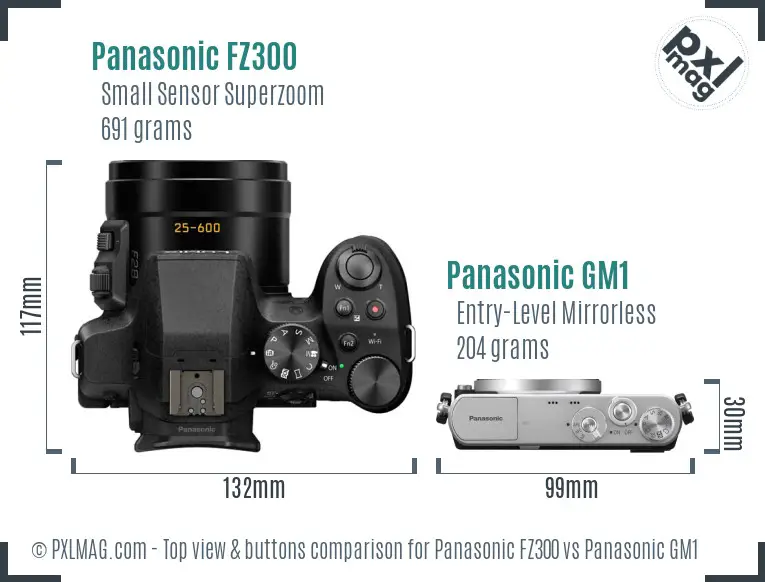 Panasonic FZ300 vs Panasonic GM1 top view buttons comparison