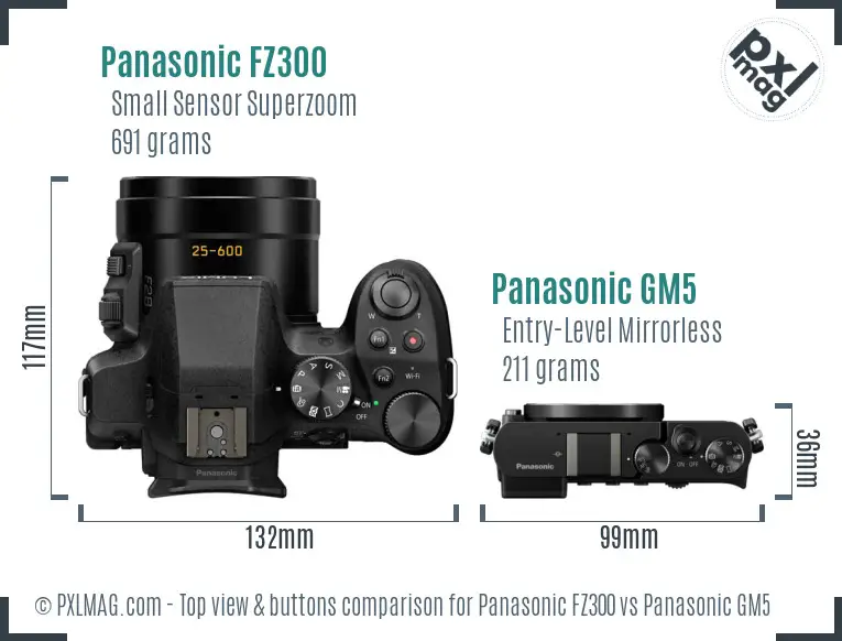 Panasonic FZ300 vs Panasonic GM5 top view buttons comparison