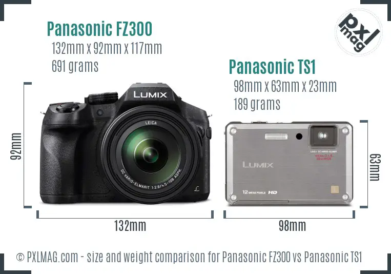 Panasonic FZ300 vs Panasonic TS1 size comparison