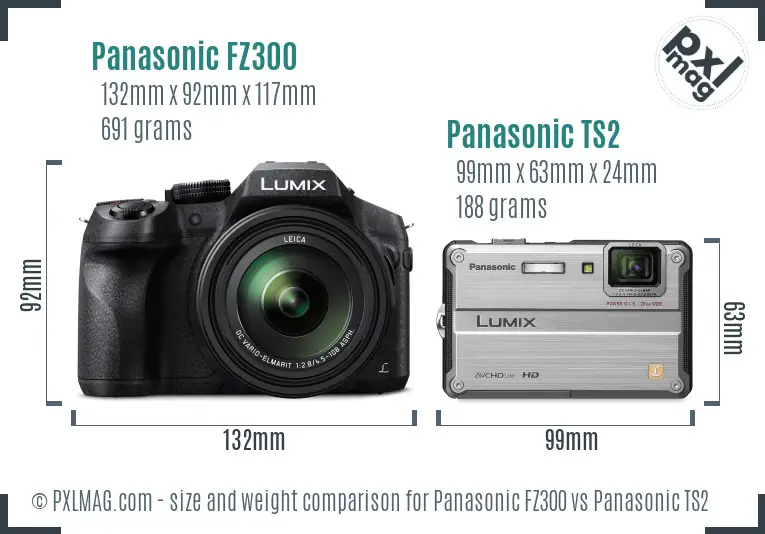Panasonic FZ300 vs Panasonic TS2 size comparison