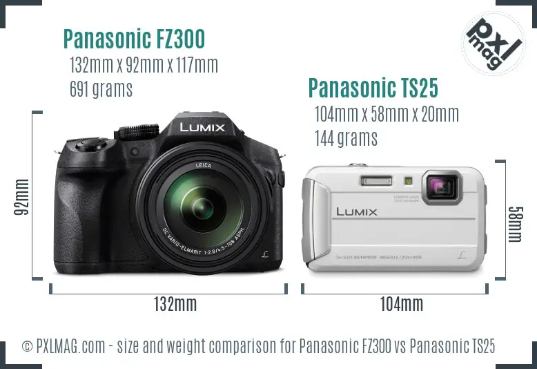 Panasonic FZ300 vs Panasonic TS25 size comparison