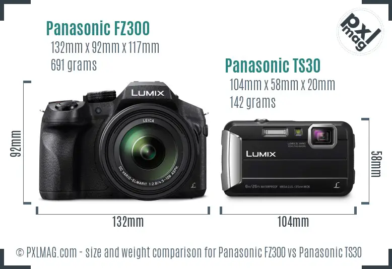 Panasonic FZ300 vs Panasonic TS30 size comparison