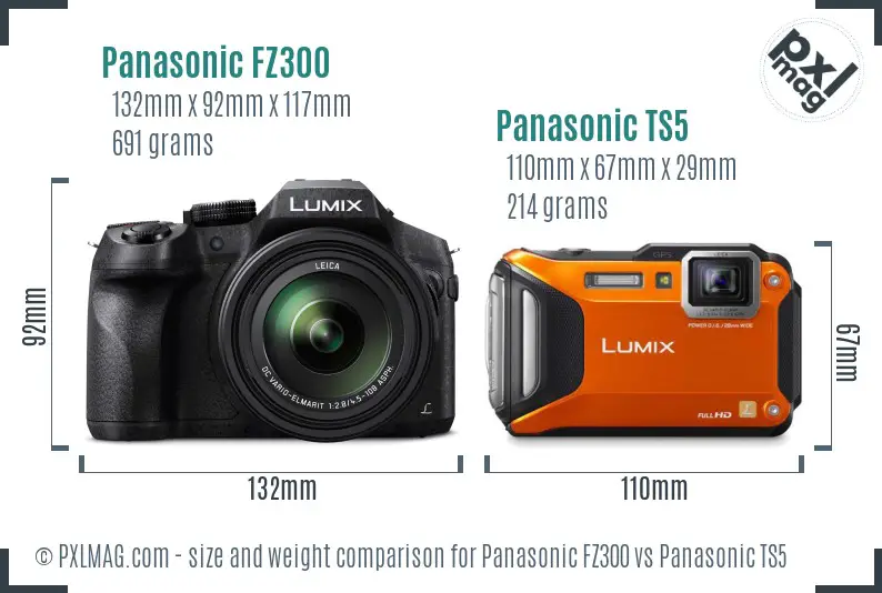 Panasonic FZ300 vs Panasonic TS5 size comparison
