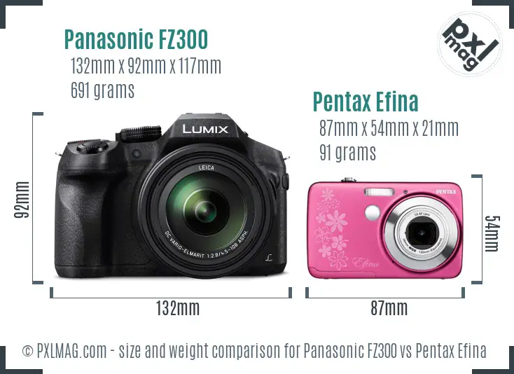 Panasonic FZ300 vs Pentax Efina size comparison