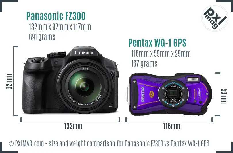 Panasonic FZ300 vs Pentax WG-1 GPS size comparison