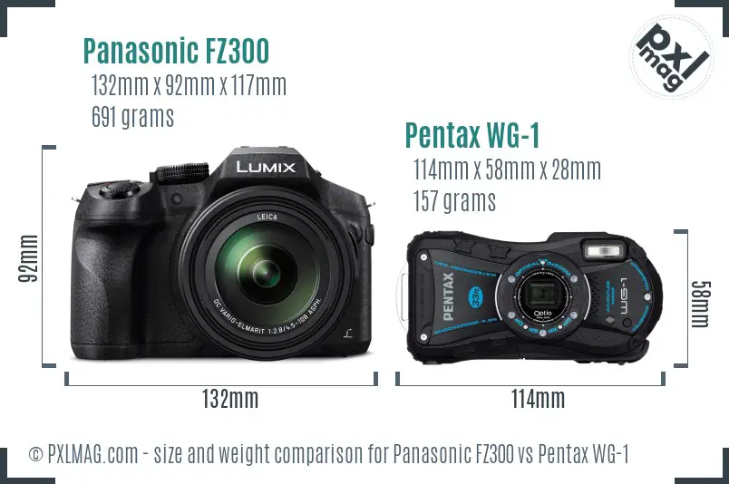 Panasonic FZ300 vs Pentax WG-1 size comparison