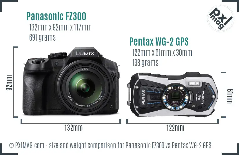 Panasonic FZ300 vs Pentax WG-2 GPS size comparison
