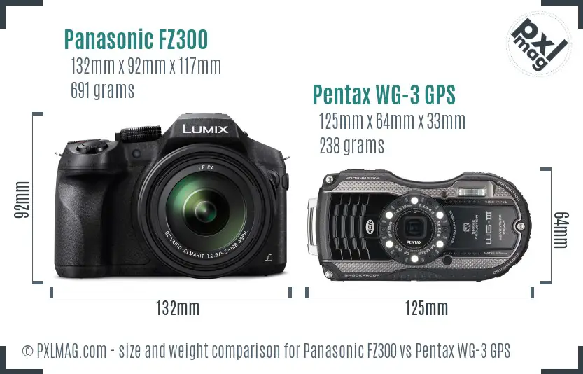 Panasonic FZ300 vs Pentax WG-3 GPS size comparison Panasonic FZ300 vs Pentax WG-3 GPS size comparison