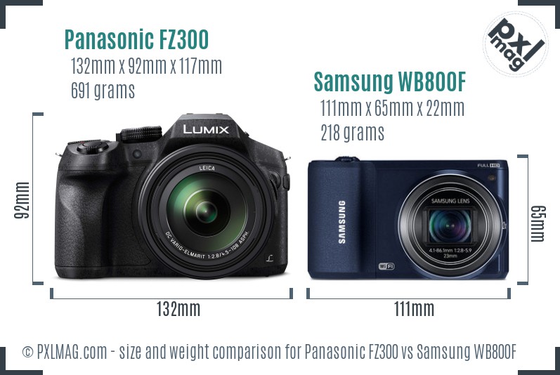 Panasonic FZ300 vs Samsung WB800F size comparison