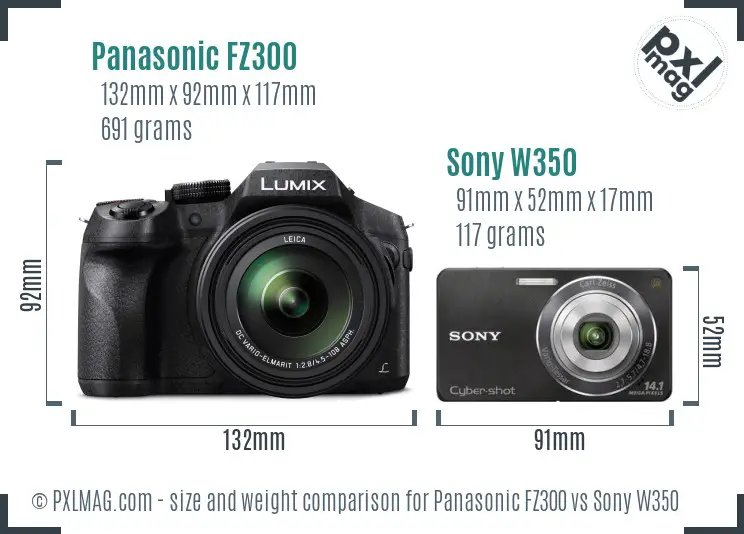 Panasonic FZ300 vs Sony W350 size comparison