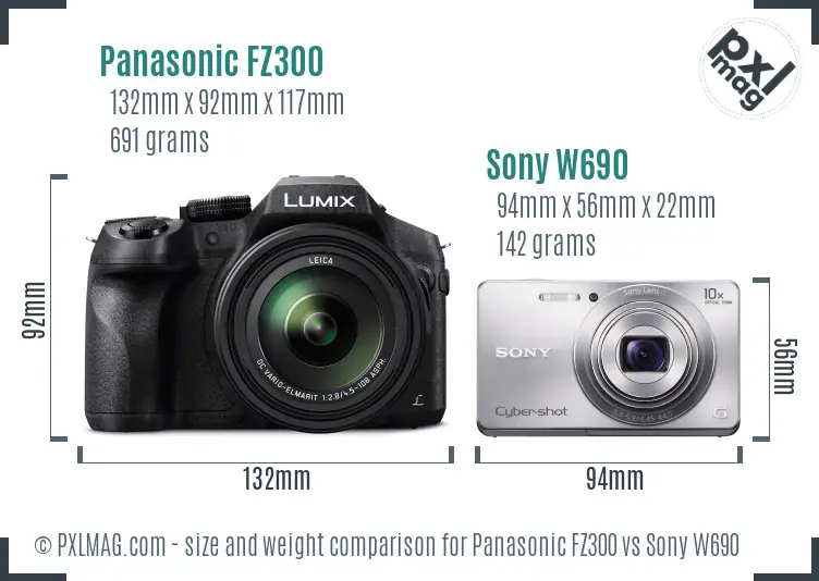 Panasonic FZ300 vs Sony W690 size comparison