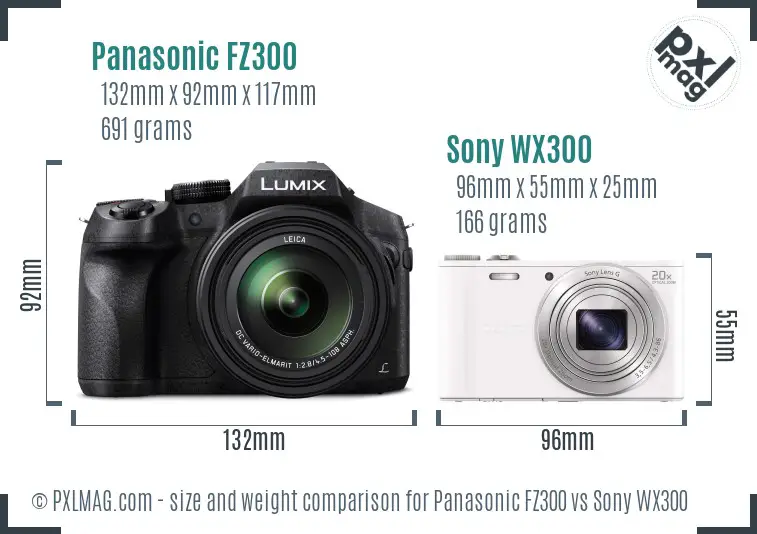 Panasonic FZ300 vs Sony WX300 size comparison