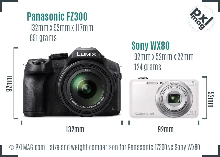 Panasonic FZ300 vs Sony WX80 size comparison