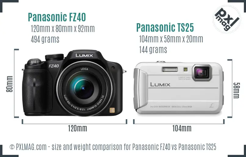 Panasonic FZ40 vs Panasonic TS25 size comparison