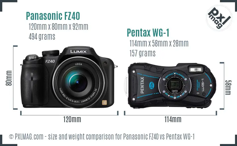 Panasonic FZ40 vs Pentax WG-1 size comparison