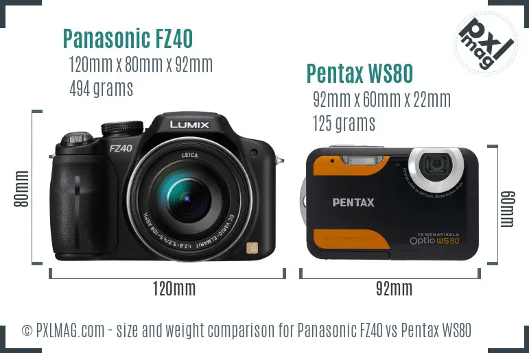 Panasonic FZ40 vs Pentax WS80 size comparison