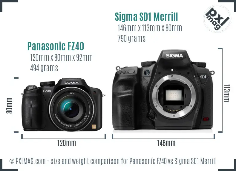 Panasonic FZ40 vs Sigma SD1 Merrill size comparison