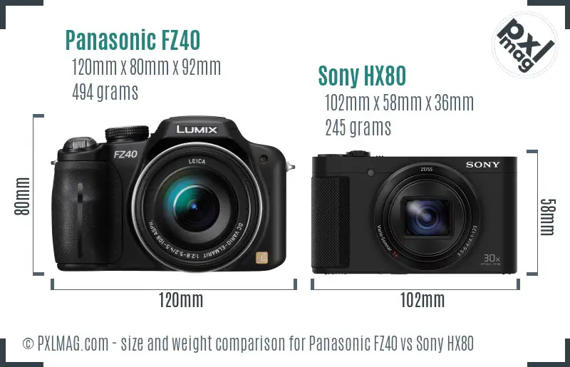 Panasonic FZ40 vs Sony HX80 size comparison