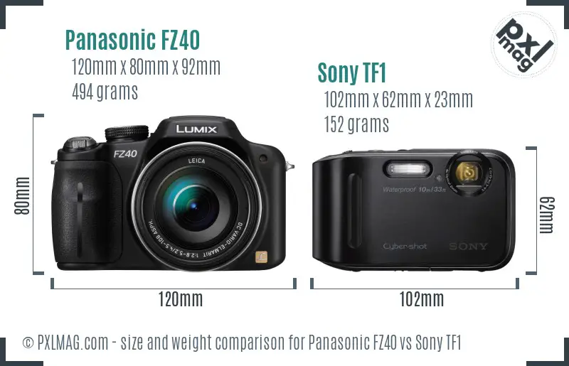 Panasonic FZ40 vs Sony TF1 size comparison