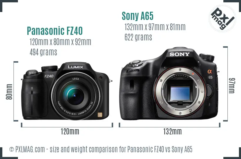 Panasonic FZ40 vs Sony A65 size comparison
