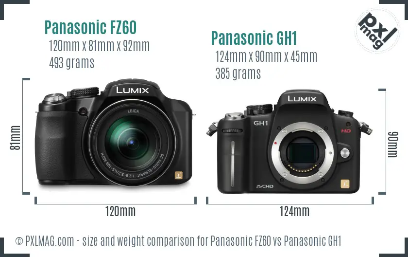Panasonic FZ60 vs Panasonic GH1 size comparison