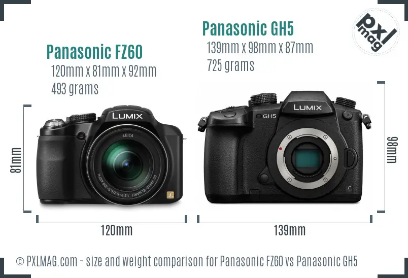 Panasonic FZ60 vs Panasonic GH5 size comparison