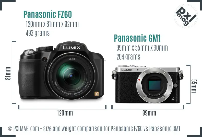 Panasonic FZ60 vs Panasonic GM1 size comparison