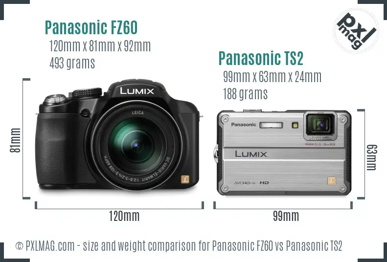 Panasonic FZ60 vs Panasonic TS2 size comparison