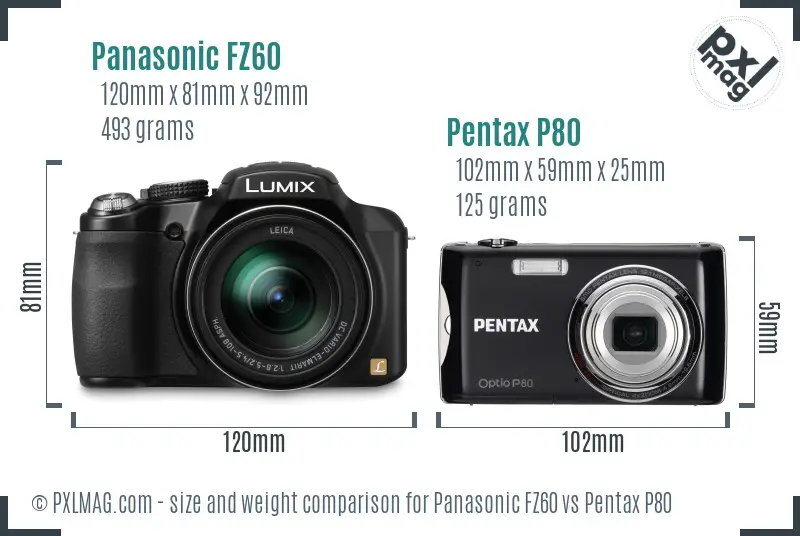 Panasonic FZ60 vs Pentax P80 size comparison