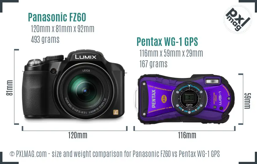 Panasonic FZ60 vs Pentax WG-1 GPS size comparison