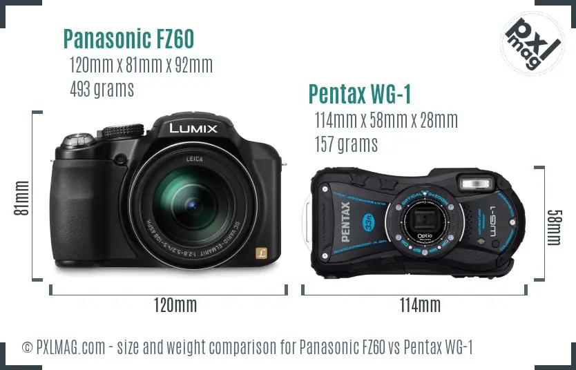 Panasonic FZ60 vs Pentax WG-1 size comparison