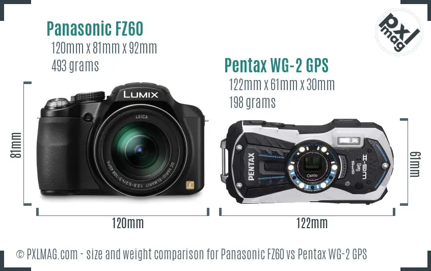 Panasonic FZ60 vs Pentax WG-2 GPS size comparison