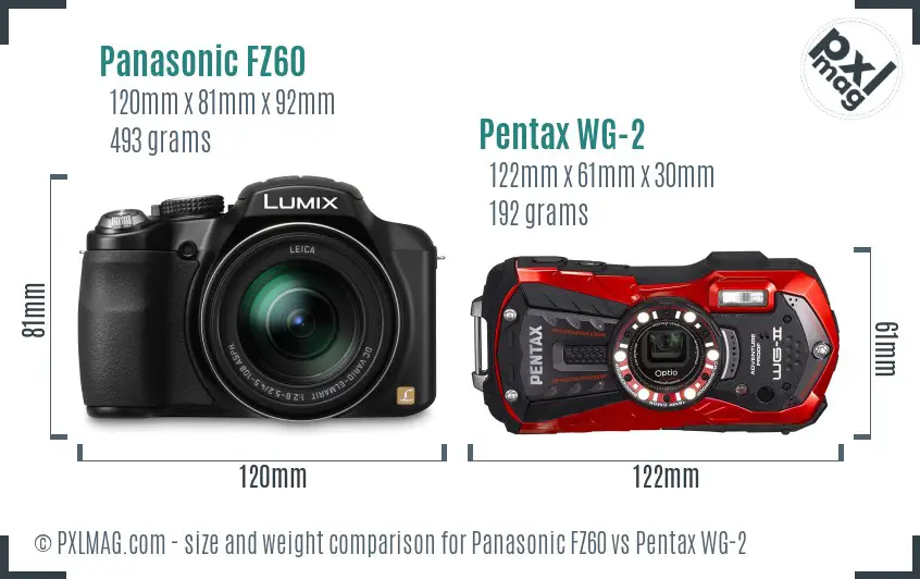 Panasonic FZ60 vs Pentax WG-2 size comparison