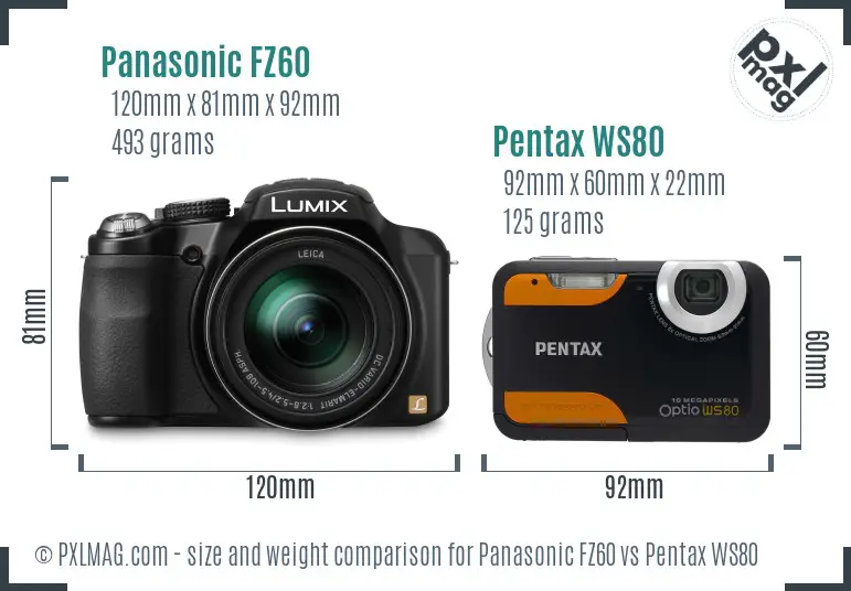 Panasonic FZ60 vs Pentax WS80 size comparison