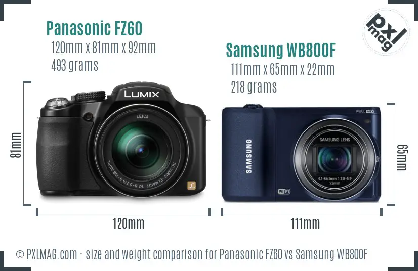 Panasonic FZ60 vs Samsung WB800F size comparison