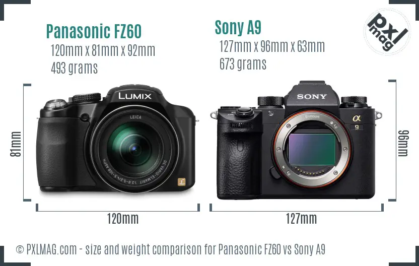 Panasonic FZ60 vs Sony A9 size comparison Panasonic FZ60 vs Sony A9 size comparison