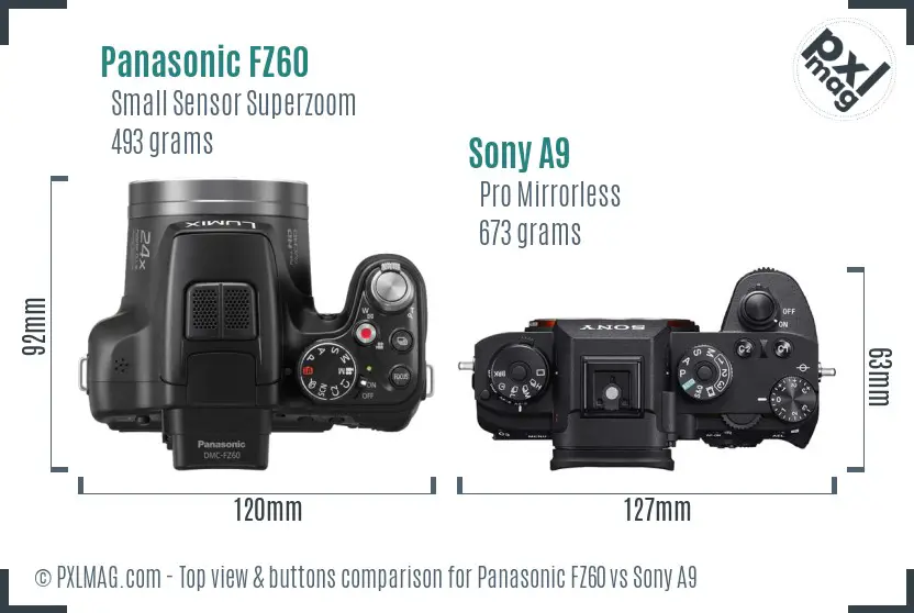 Panasonic FZ60 vs Sony A9 top view buttons comparison Panasonic FZ60 vs Sony A9 top view buttons comparison