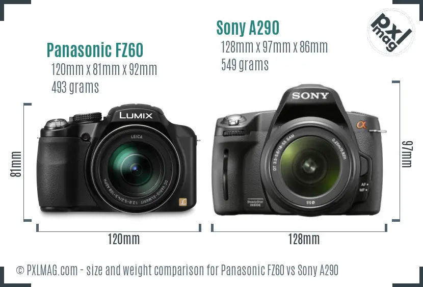 Panasonic FZ60 vs Sony A290 size comparison Panasonic FZ60 vs Sony A290 size comparison