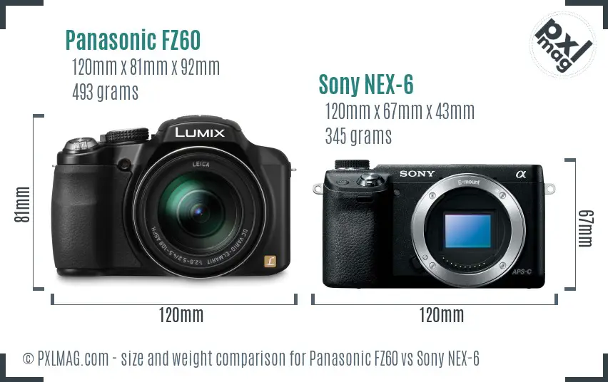 Panasonic FZ60 vs Sony NEX-6 size comparison