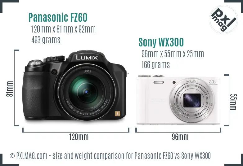 Panasonic FZ60 vs Sony WX300 size comparison
