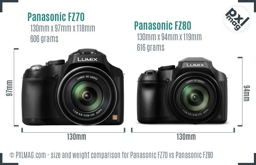 Panasonic FZ70 vs Panasonic FZ80 size comparison