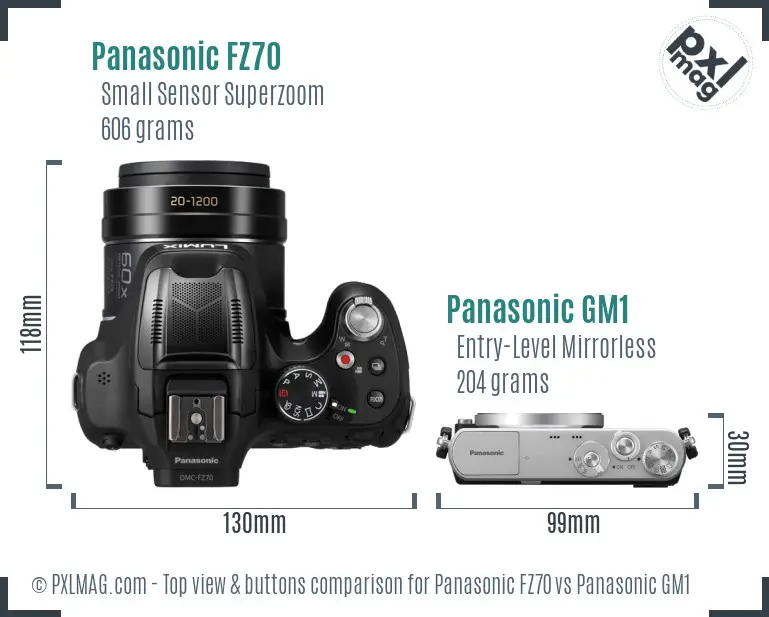 Panasonic FZ70 vs Panasonic GM1 top view buttons comparison