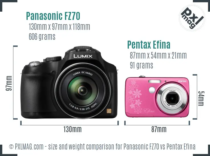 Panasonic FZ70 vs Pentax Efina size comparison