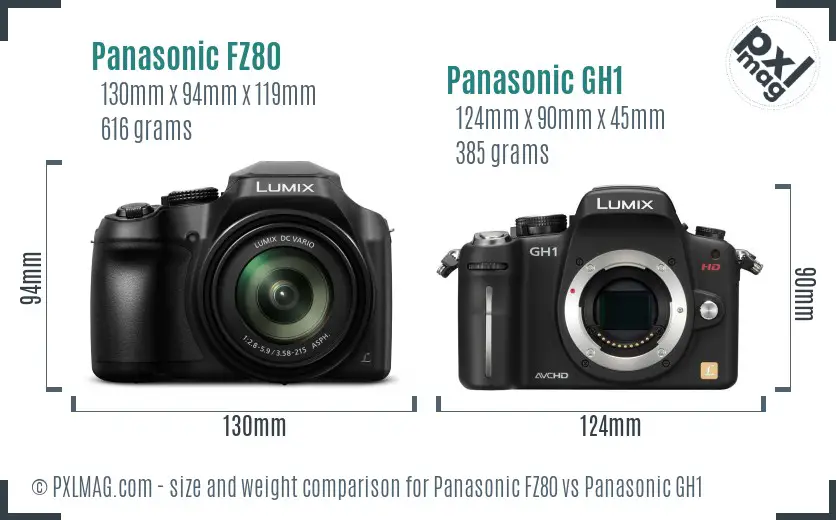 Panasonic FZ80 vs Panasonic GH1 size comparison