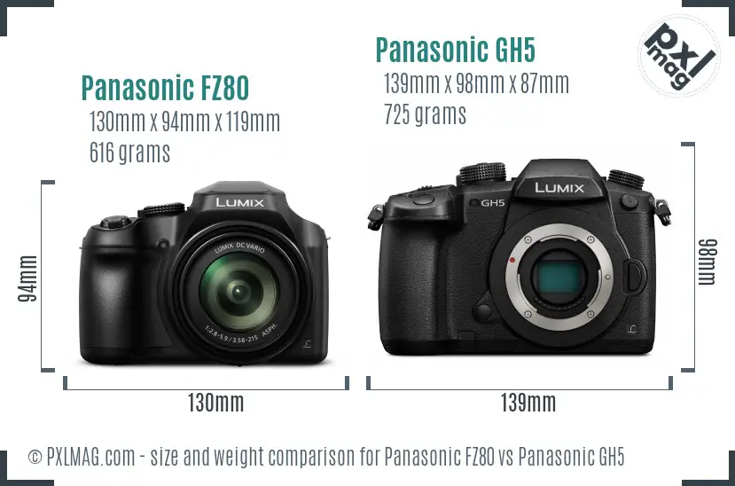 Panasonic FZ80 vs Panasonic GH5 size comparison