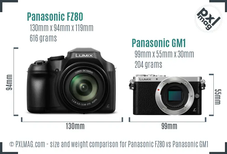Panasonic FZ80 vs Panasonic GM1 size comparison