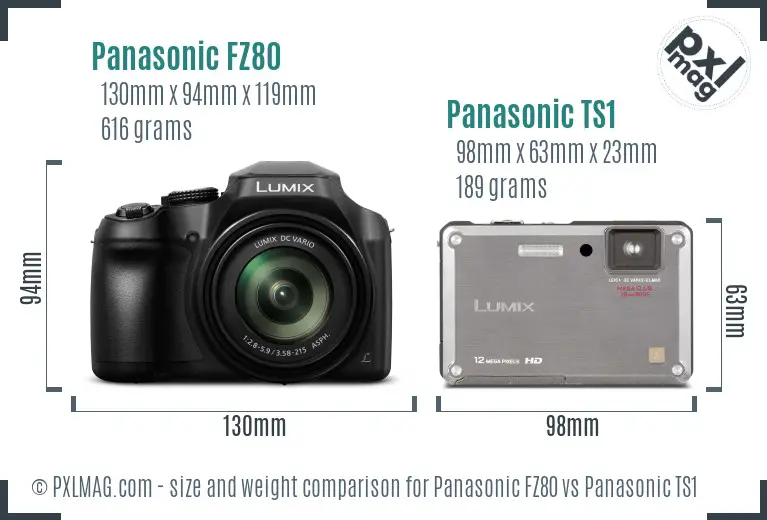 Panasonic FZ80 vs Panasonic TS1 size comparison