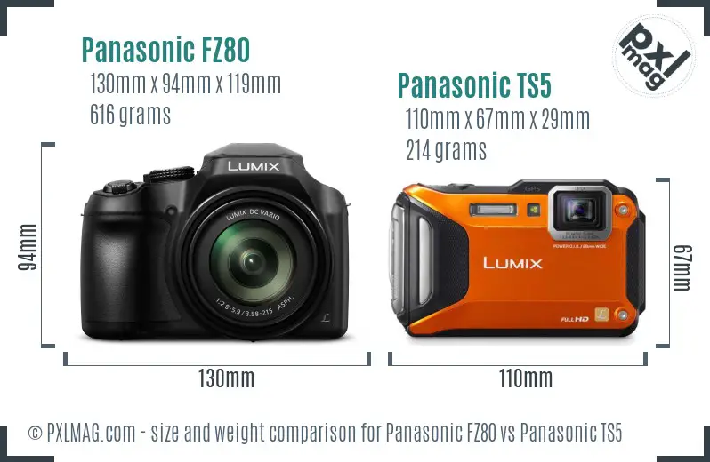 Panasonic FZ80 vs Panasonic TS5 size comparison