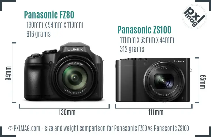 Panasonic FZ80 vs Panasonic ZS100 size comparison